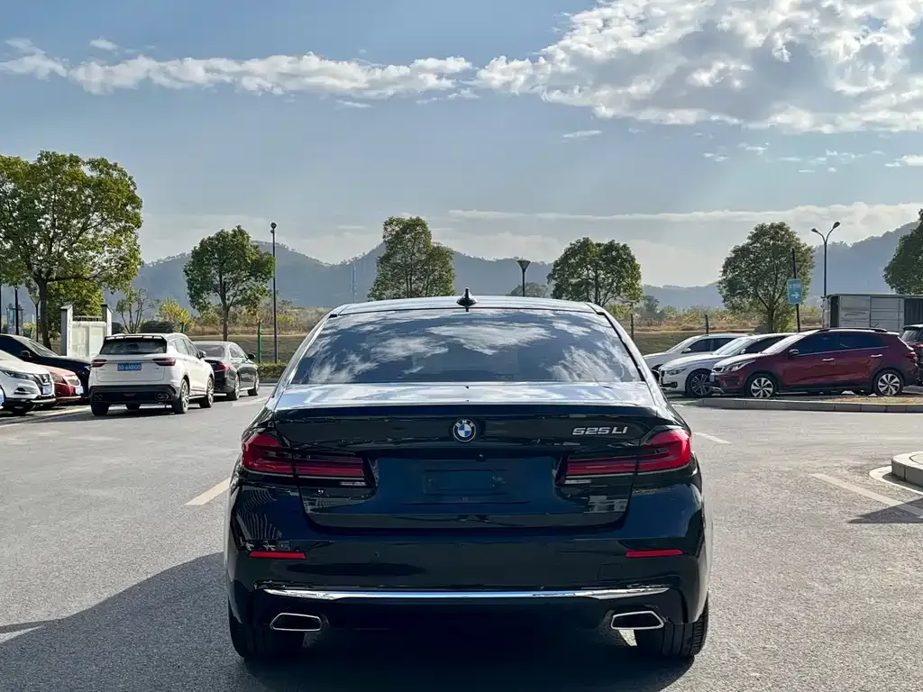BMW 5 Series 2022 из CN, фото 4