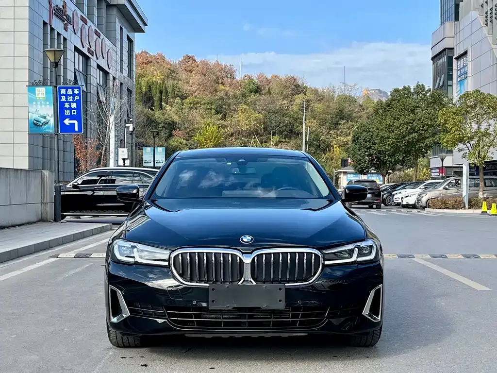 BMW 5 Series 2022 из CN, фото 10