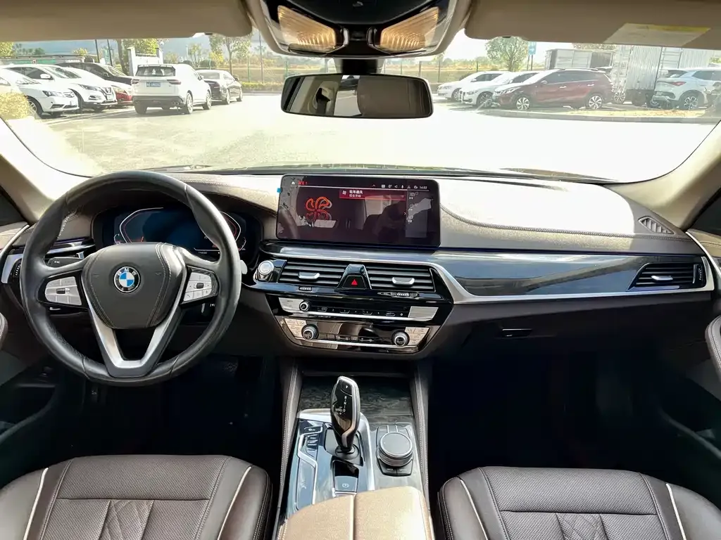 BMW 5 Series 2022 из CN, фото 7