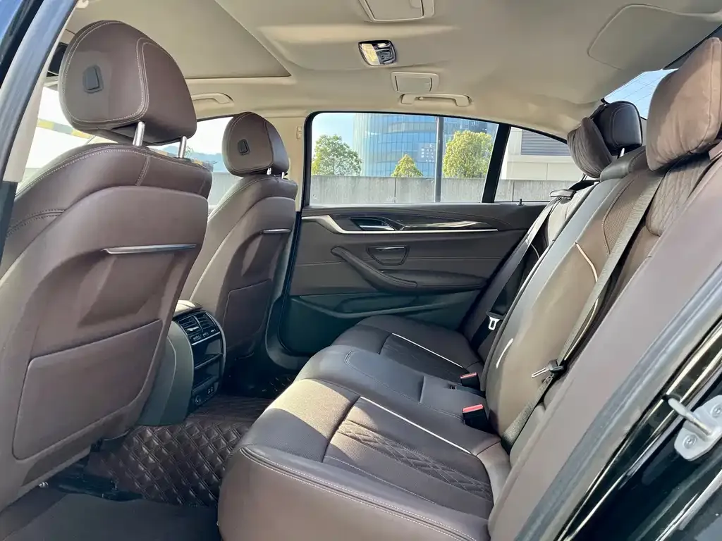 BMW 5 Series 2022 из CN, фото 5