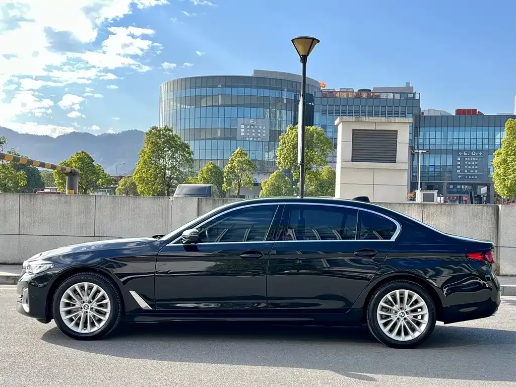BMW 5 Series 2022 из CN, фото 6