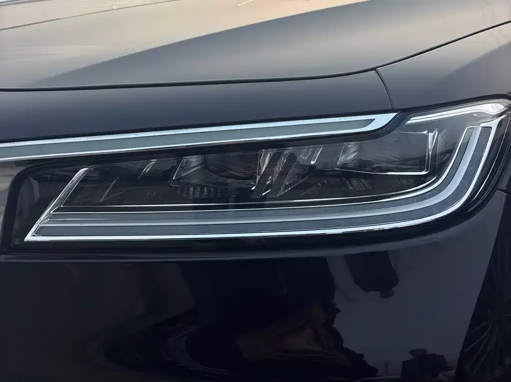 Hongqi H9 2021 из CN, фото 3