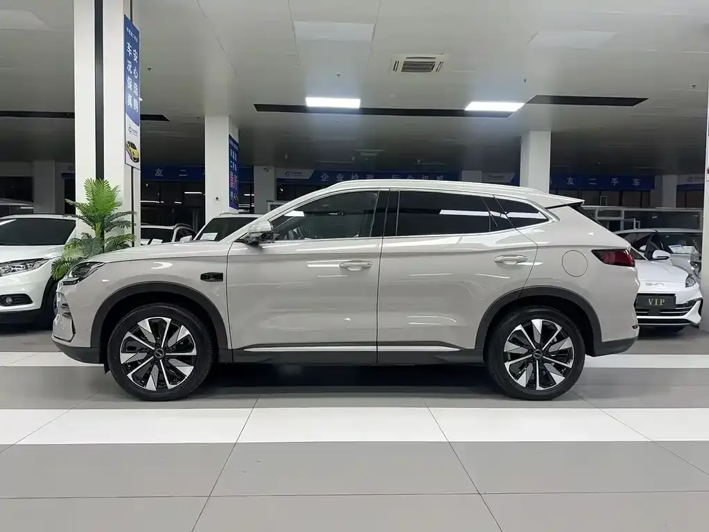BYD PLUS New Energy — фото 8