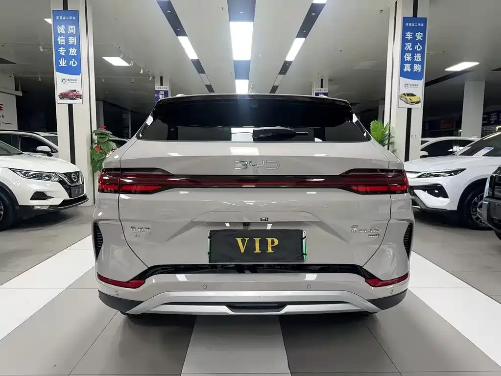 BYD PLUS New Energy — фото 3