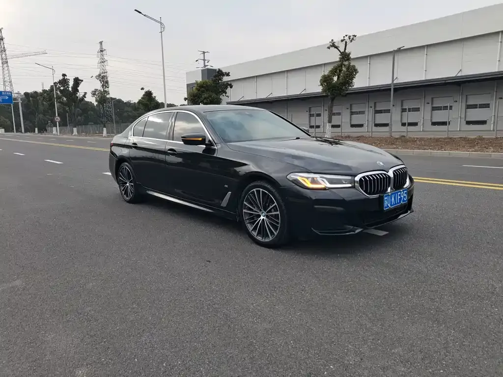 BMW 5 Series 2023 из CN, фото 7