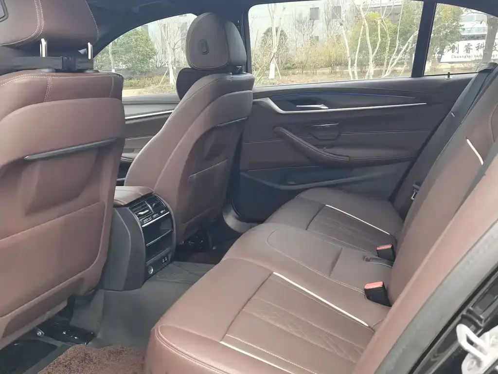 BMW 5 Series 2023 из CN, фото 6