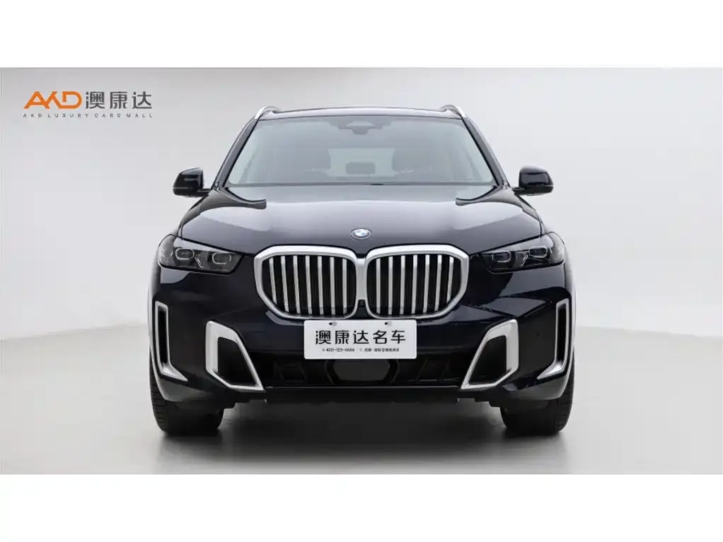 BMW X5 2024 из CN, фото 2