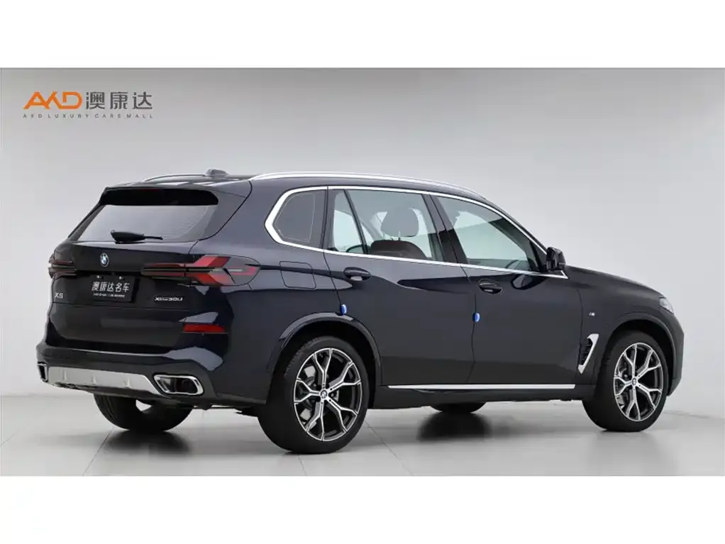 BMW X5 2024 из CN, фото 5
