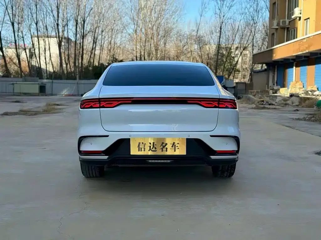 BYD Han 2023 из CN, фото 5