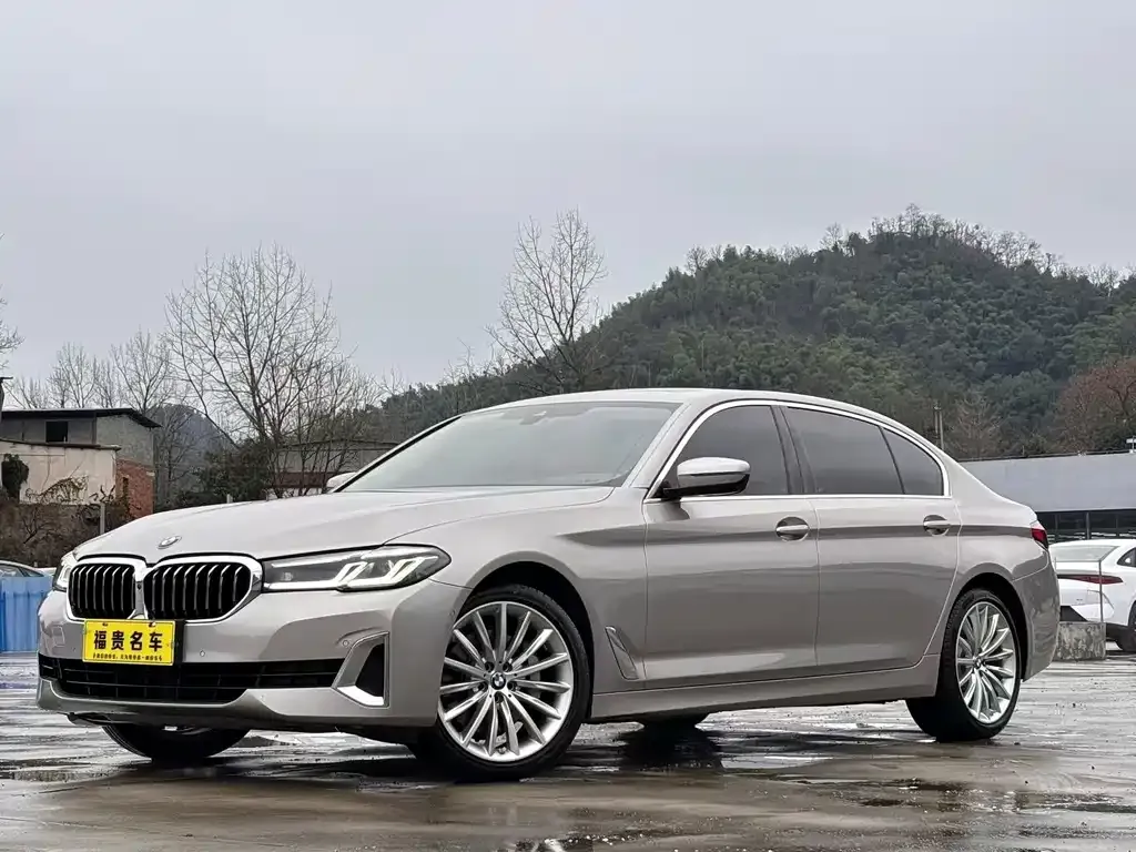 BMW 5 Series 2021 из CN, фото 1