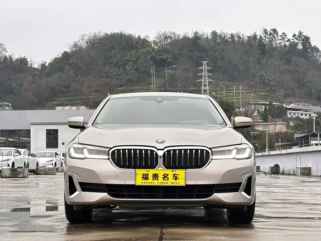 BMW 5 Series 2021 из CN, фото 8
