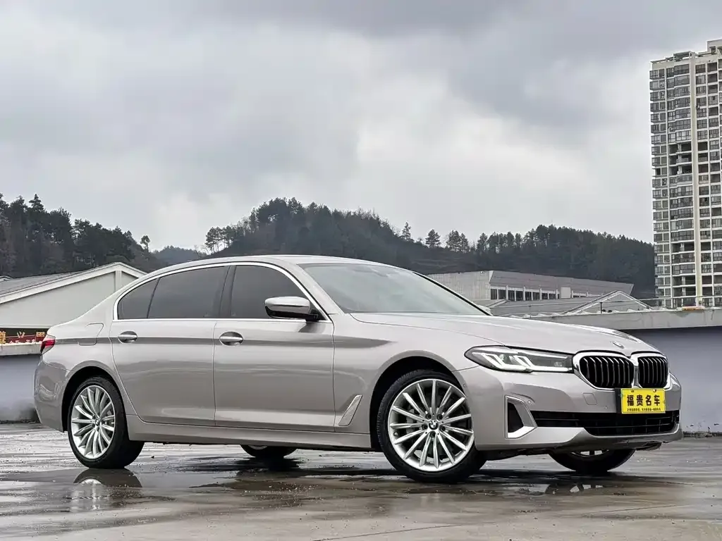 BMW 5 Series 2021 из CN, фото 5