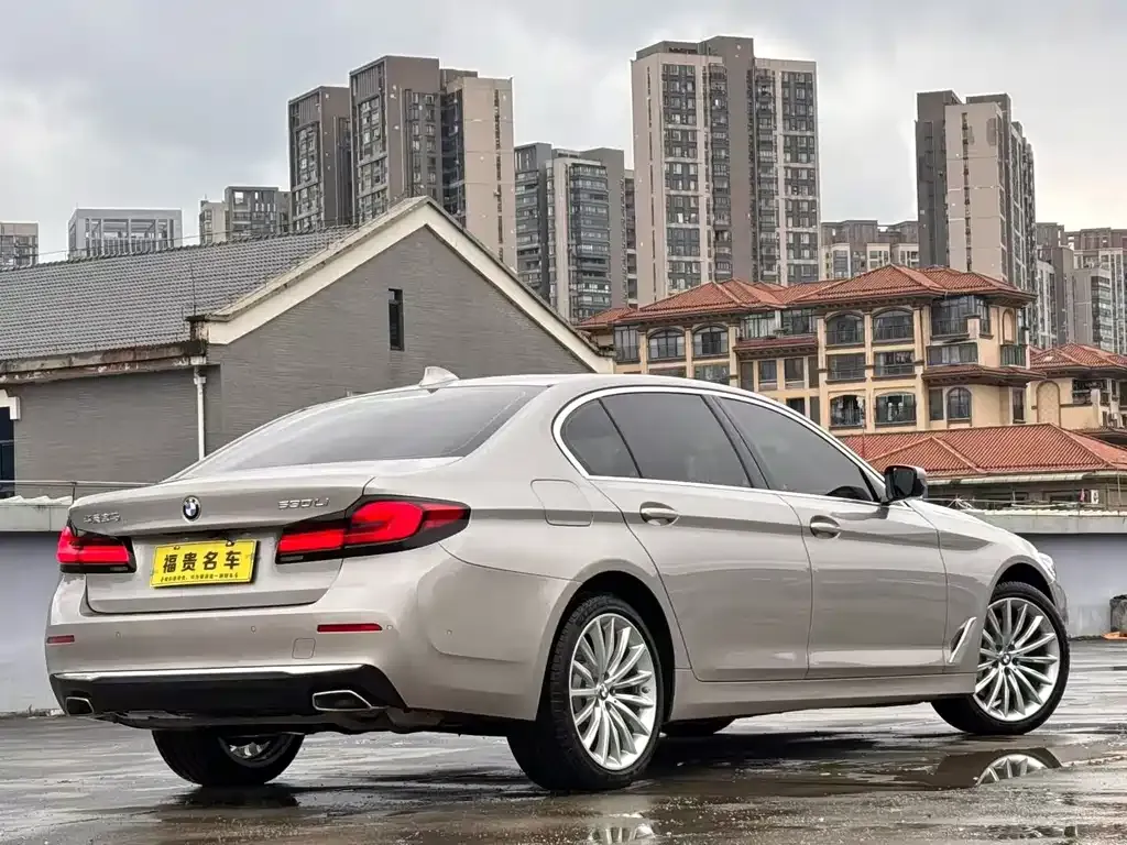 BMW 5 Series 2021 из CN, фото 4