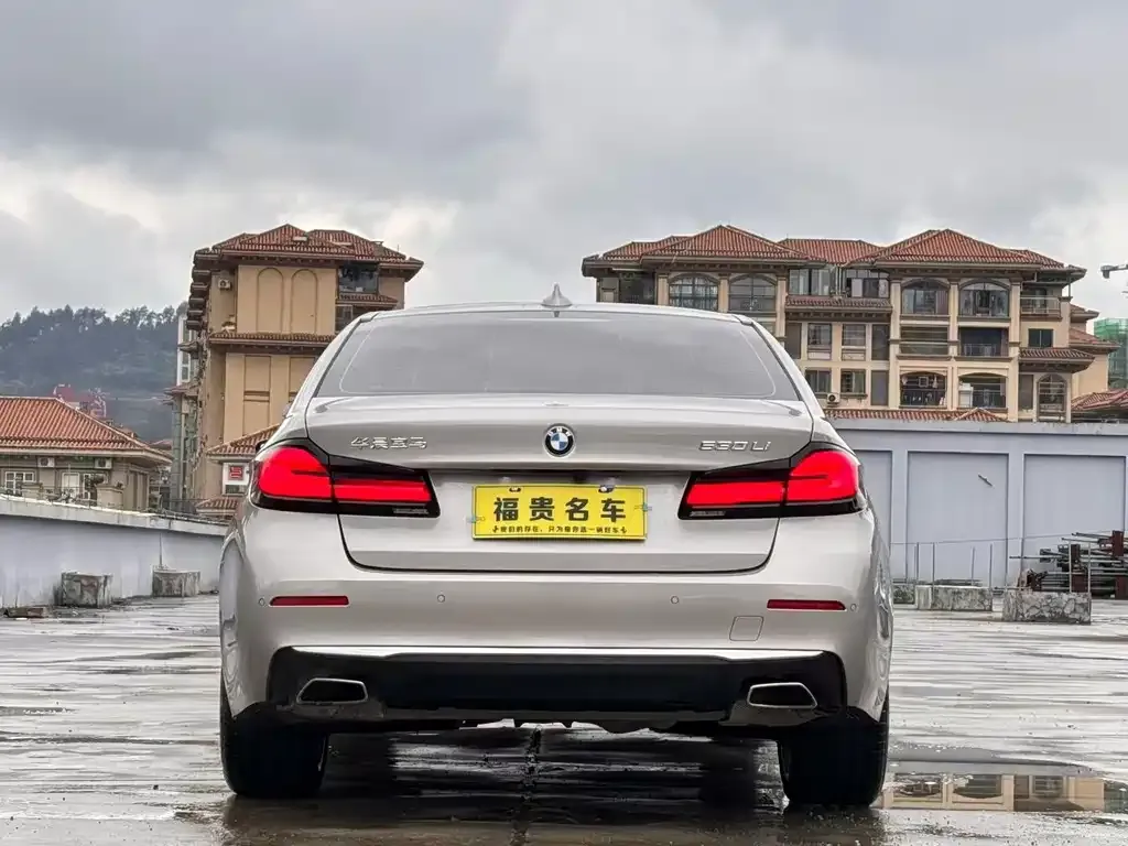 BMW 5 Series 2021 из CN, фото 6