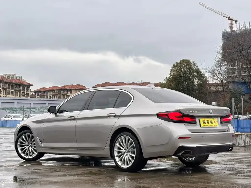 BMW 5 Series 2021 из CN, фото 9