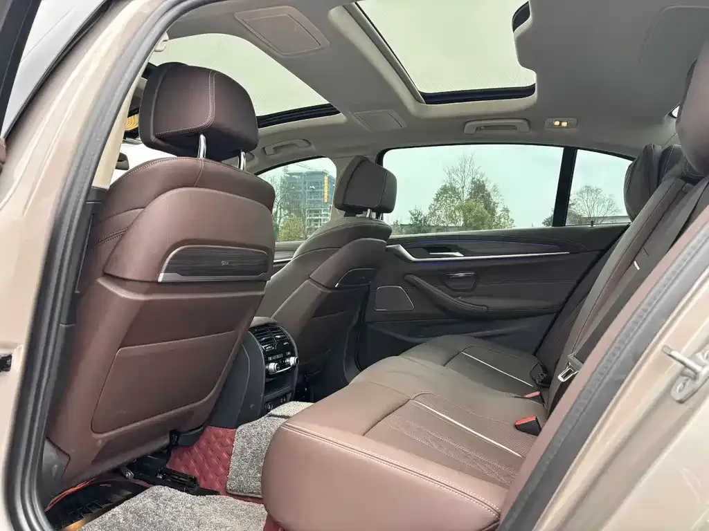 BMW 5 Series 2021 из CN, фото 3
