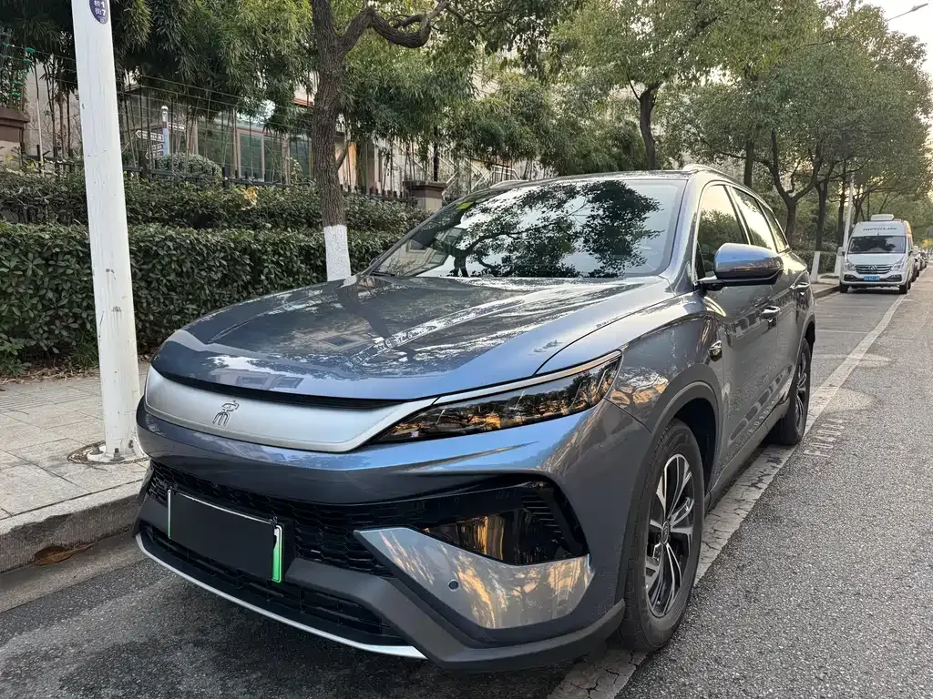 BYD Pro New Energy 2025 из CN, фото 1
