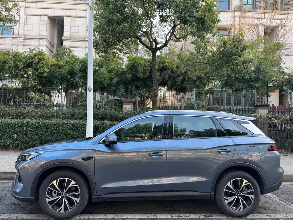 BYD Pro New Energy 2025 из CN, фото 9