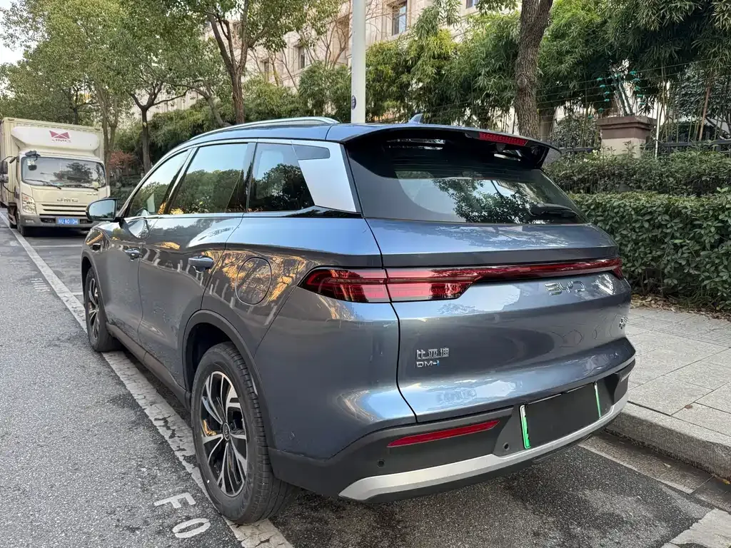 BYD Pro New Energy 2025 из CN, фото 8