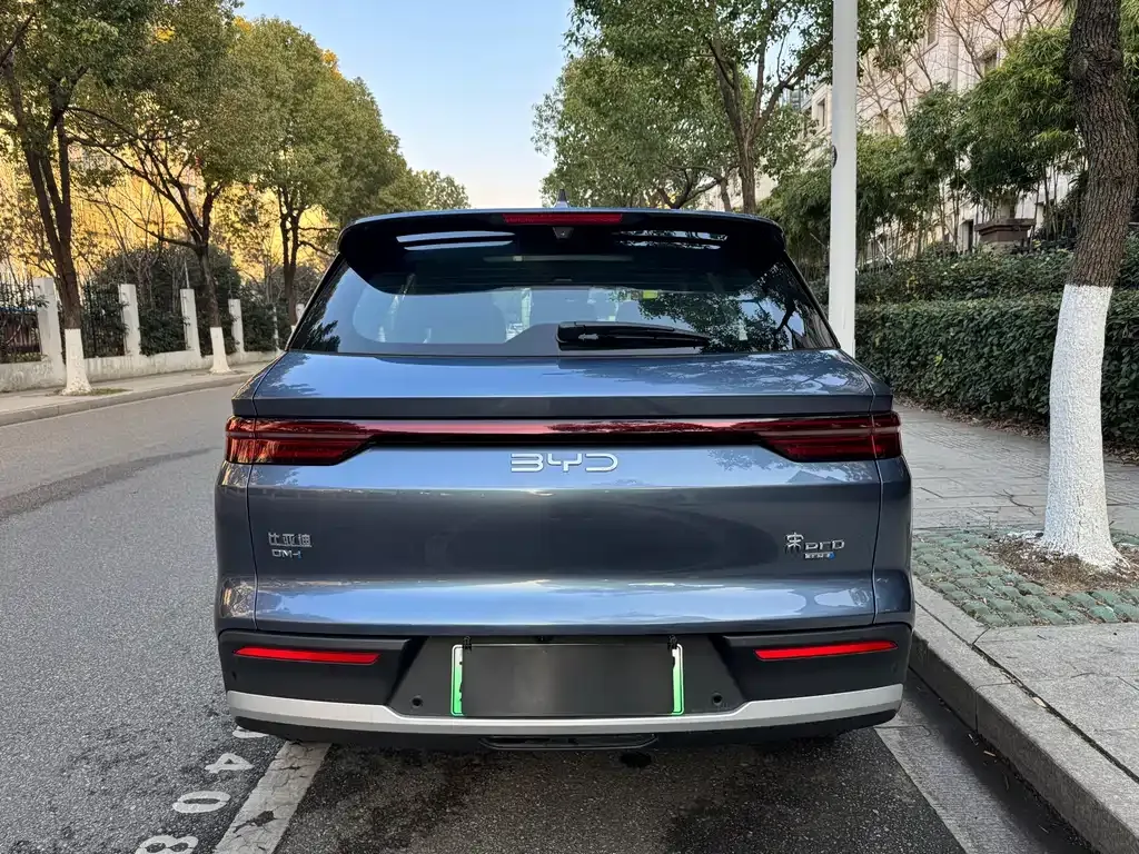 BYD Pro New Energy 2025 из CN, фото 4