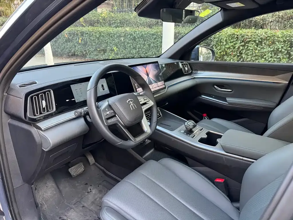 BYD Pro New Energy 2025 из CN, фото 3