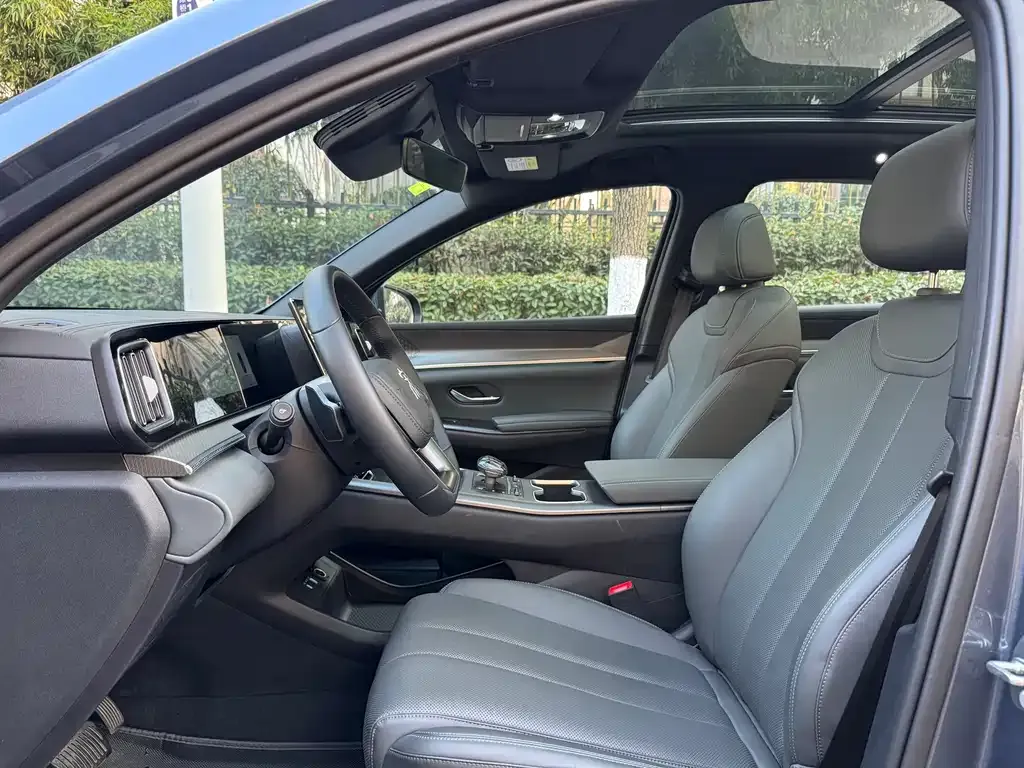 BYD Pro New Energy 2025 из CN, фото 6