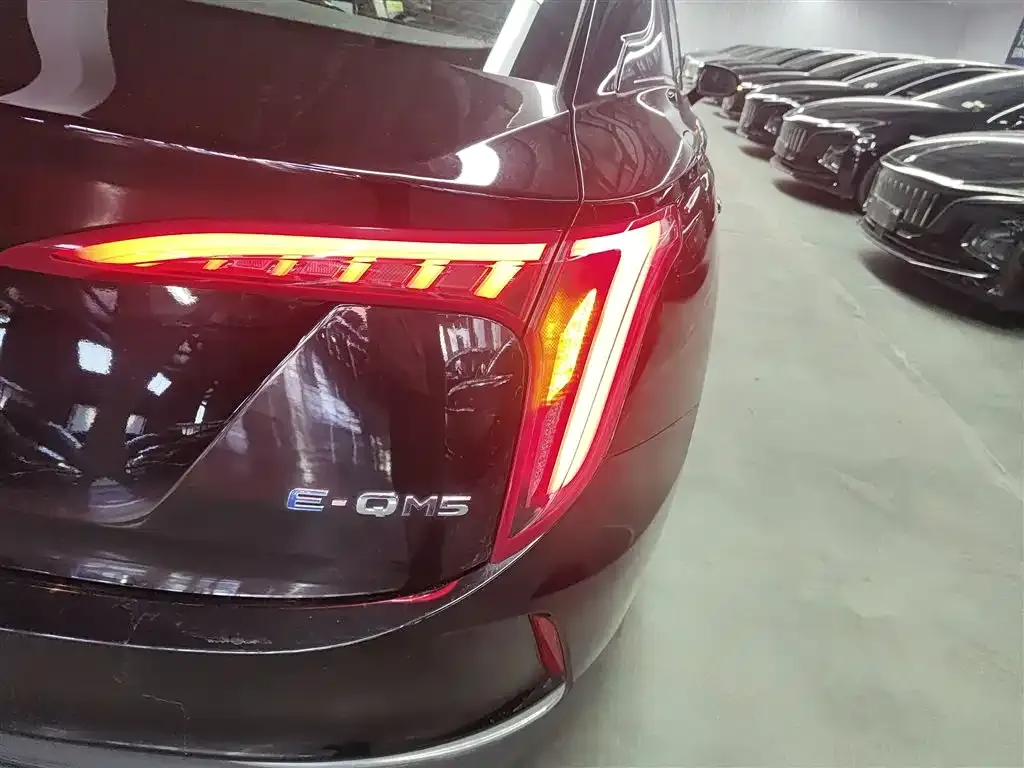 Hongqi E-QM5 2024 из CN, фото 7