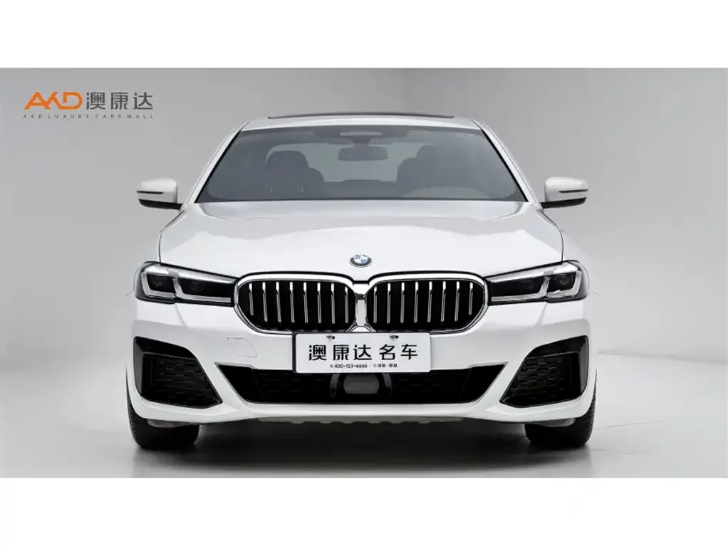 BMW 5 Series New Energy — фото 6