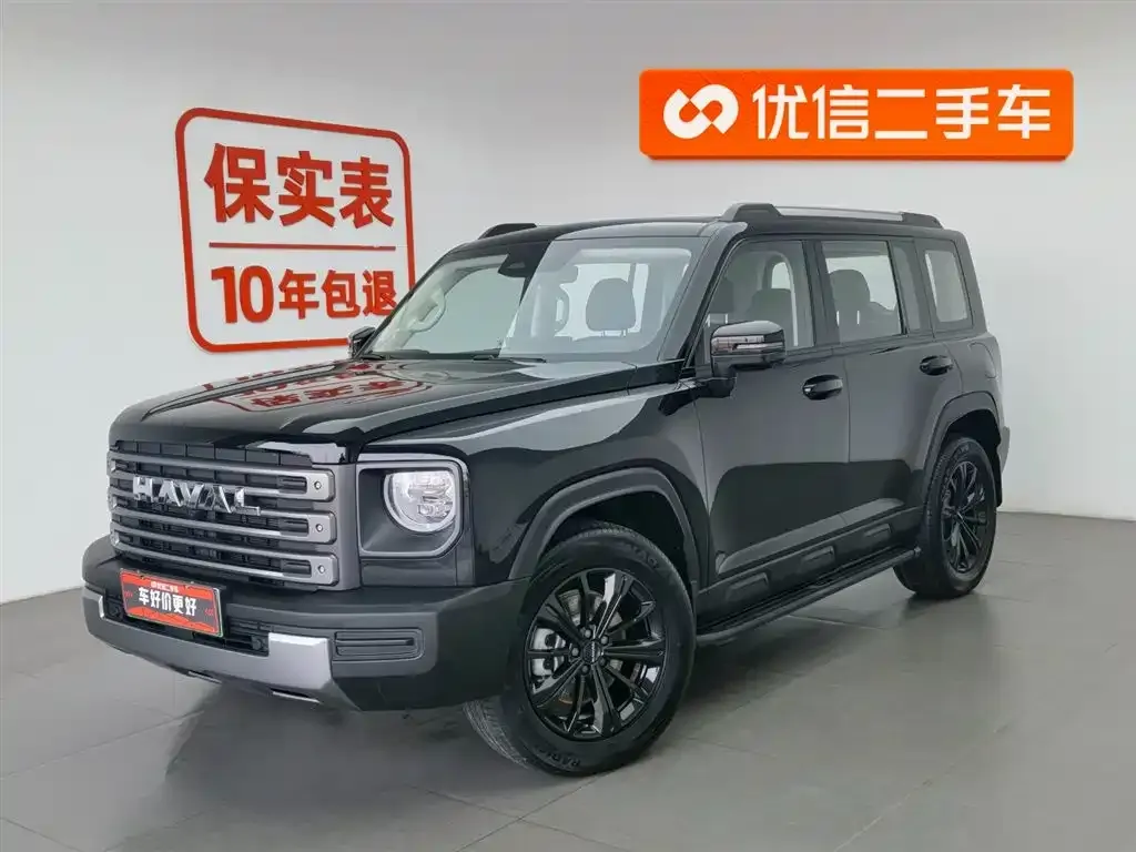 Haval Menglong New Energy — фото 1