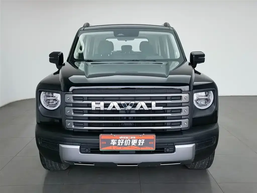 Haval Menglong New Energy — фото 4