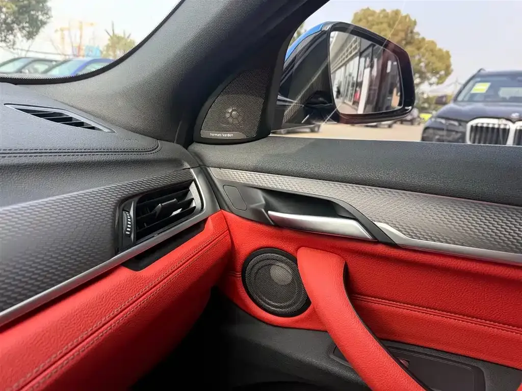 BMW X2 2021 из CN, фото 4