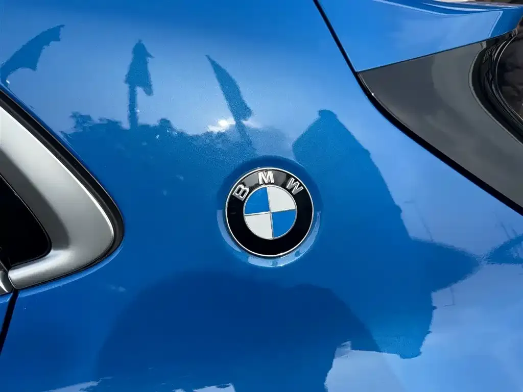 BMW X2 2021 из CN, фото 3
