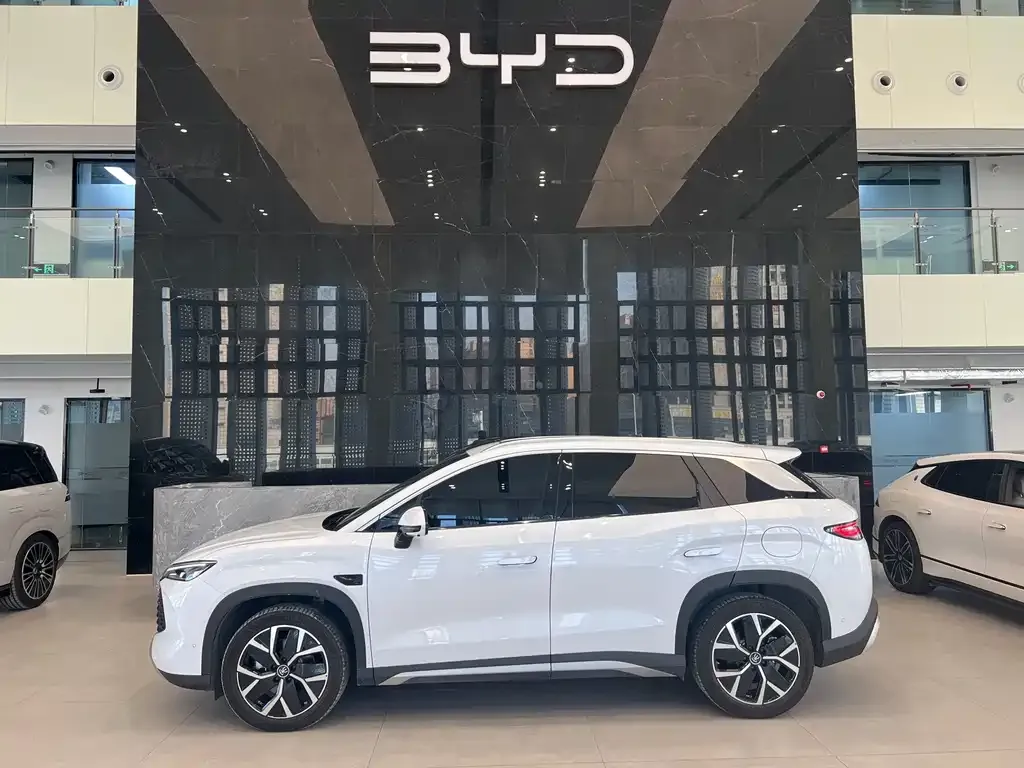 BYD L DM-i — фото 5