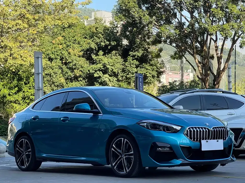 BMW 2 Series (Import) — фото 10
