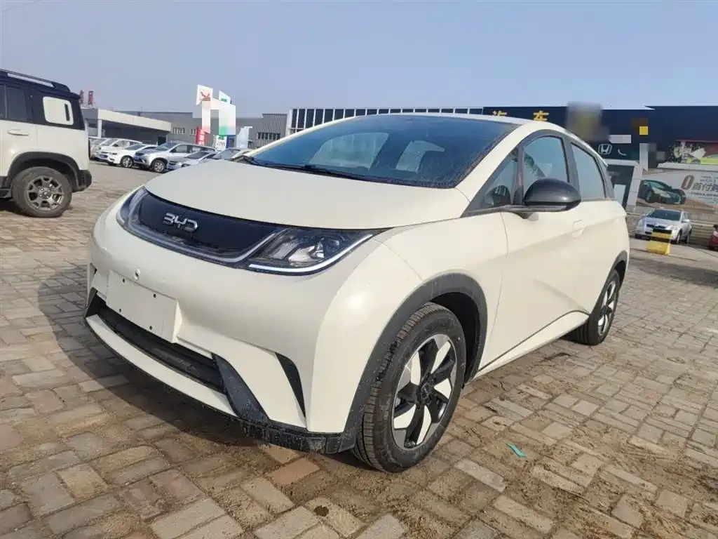 BYD Dolphin 2025 из CN, фото 1