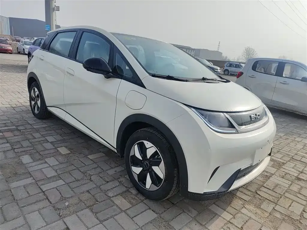 BYD Dolphin 2025 из CN, фото 6