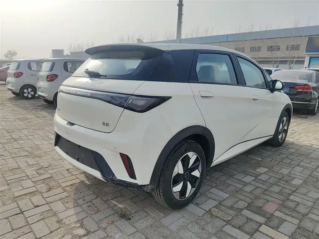 BYD Dolphin 2025 из CN, фото 4
