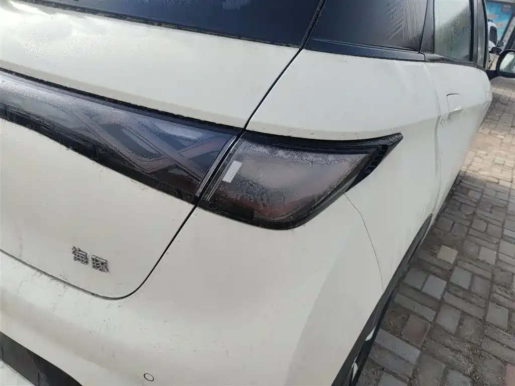BYD Dolphin 2025 из CN, фото 2