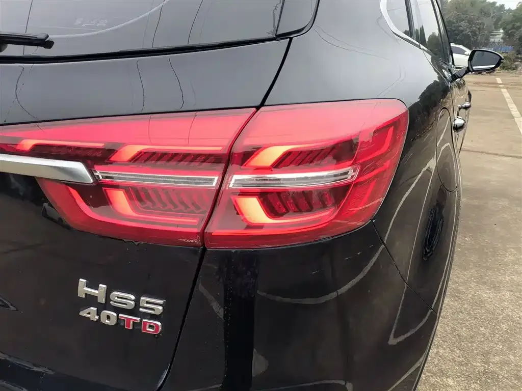 Hongqi HS5 2021 из CN, фото 7
