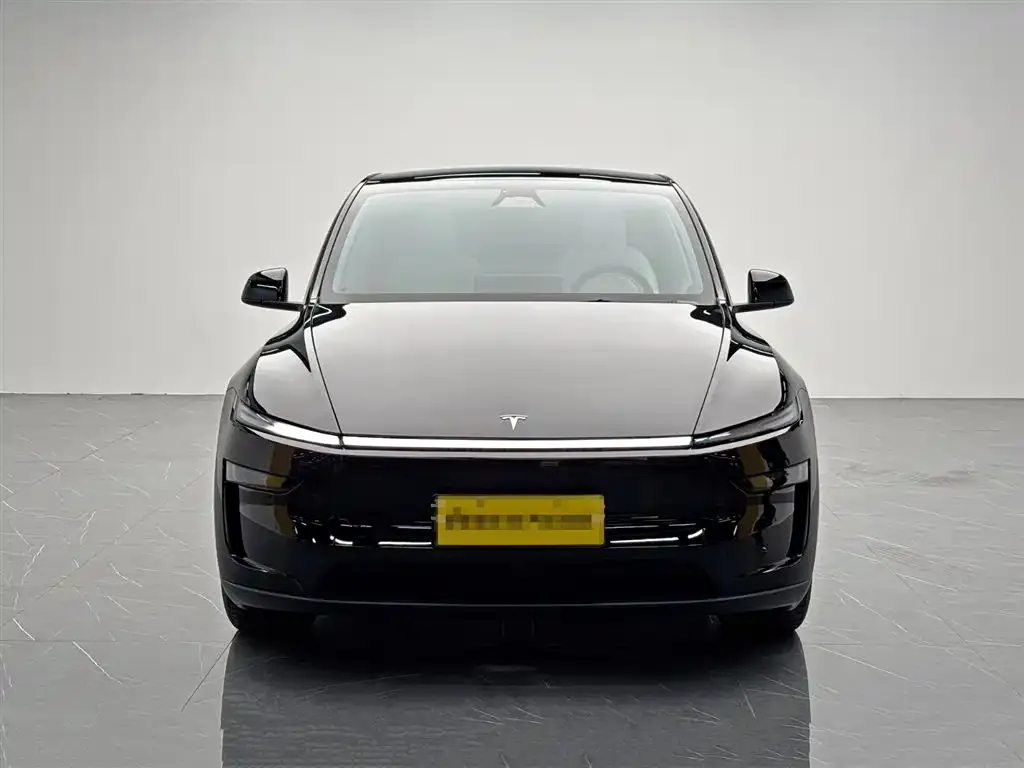 Tesla Model Y 2025 из CN, фото 2