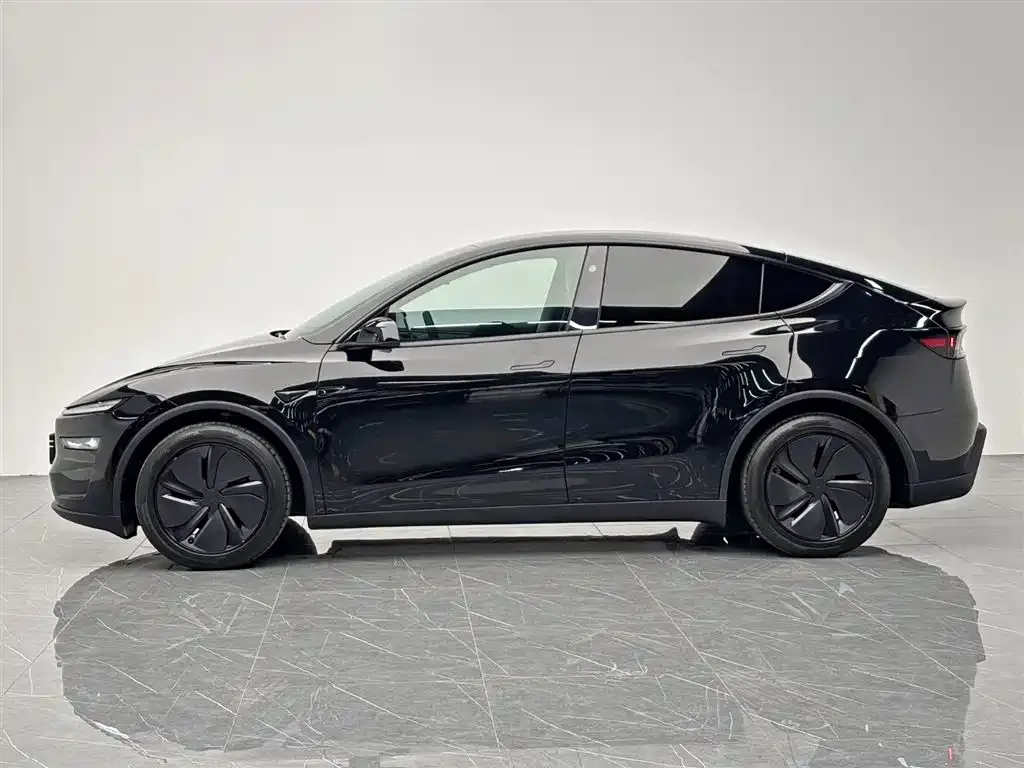 Tesla Model Y 2025 из CN, фото 6