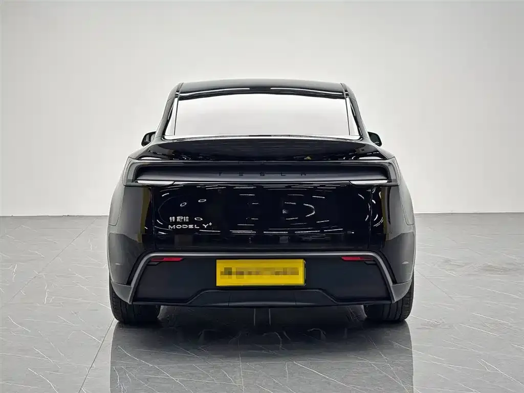 Tesla Model Y 2025 из CN, фото 4
