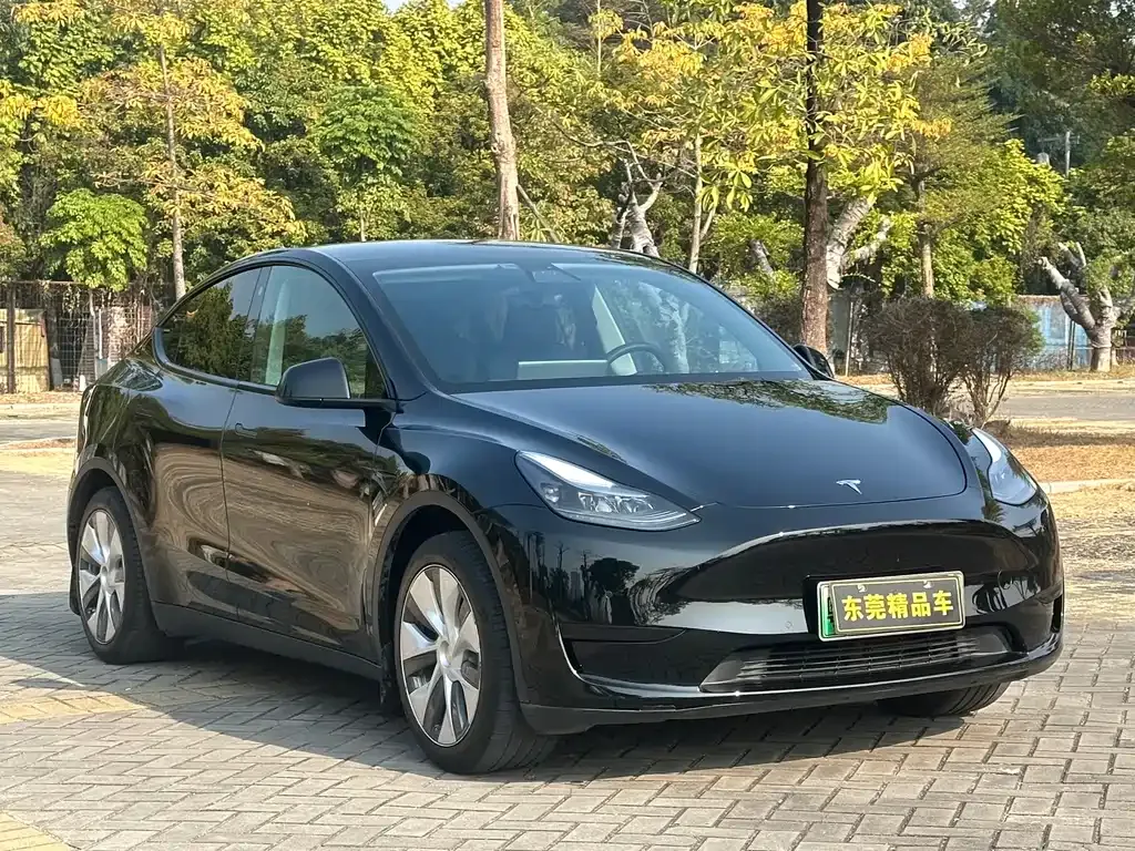 Tesla Model Y — фото 1