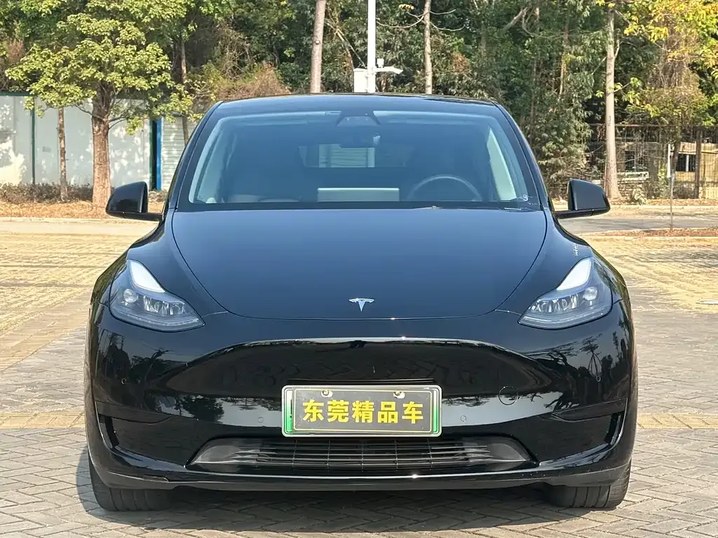 Tesla Model Y — фото 10