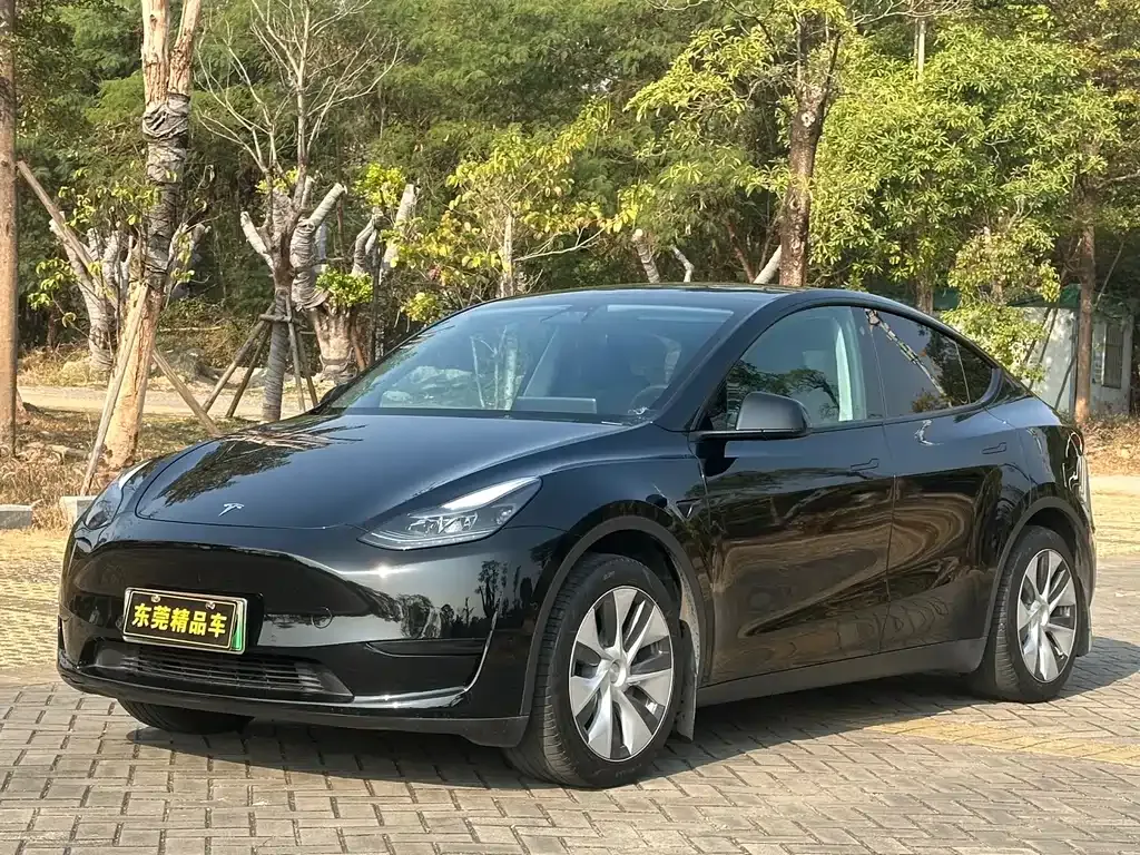 Tesla Model Y — фото 9