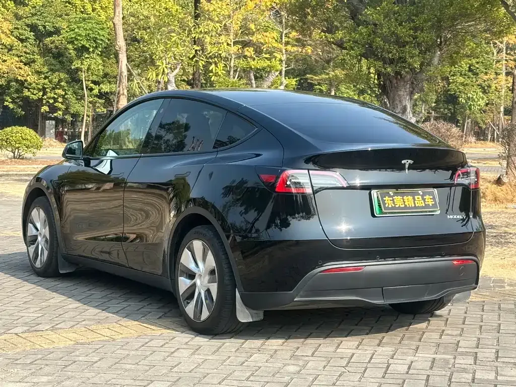 Tesla Model Y — фото 5