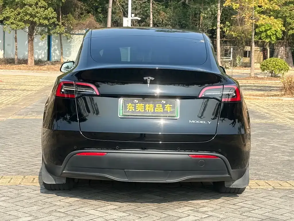 Tesla Model Y — фото 3