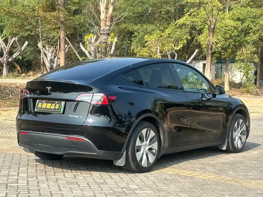 Tesla Model Y — фото 4