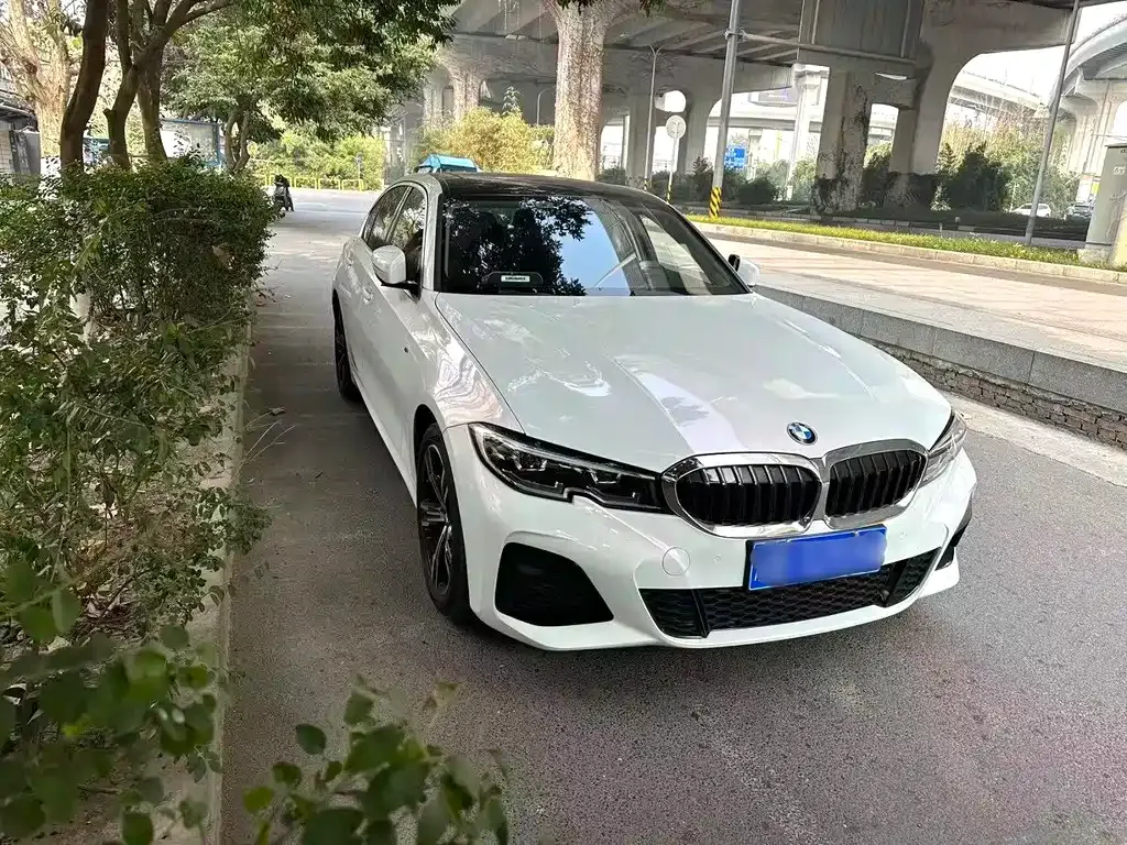 BMW 3 Series 2022 из CN, фото 4