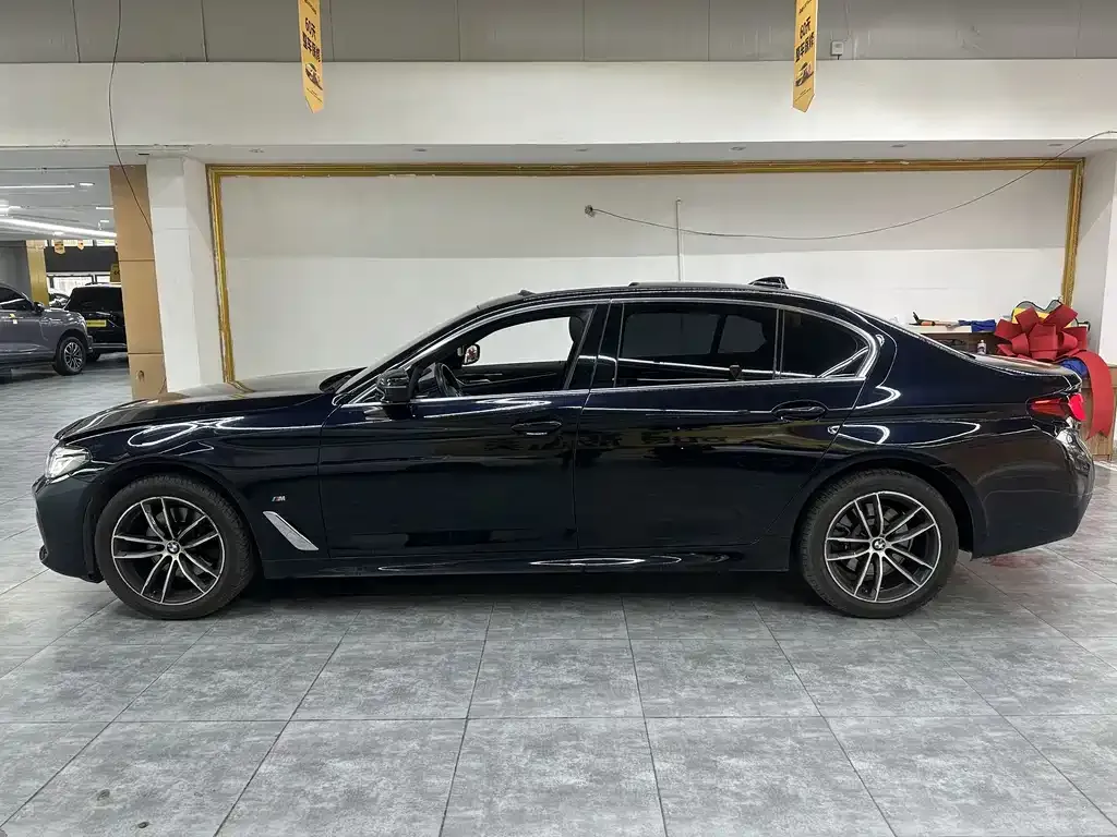 BMW 5 Series 2023 из CN, фото 5